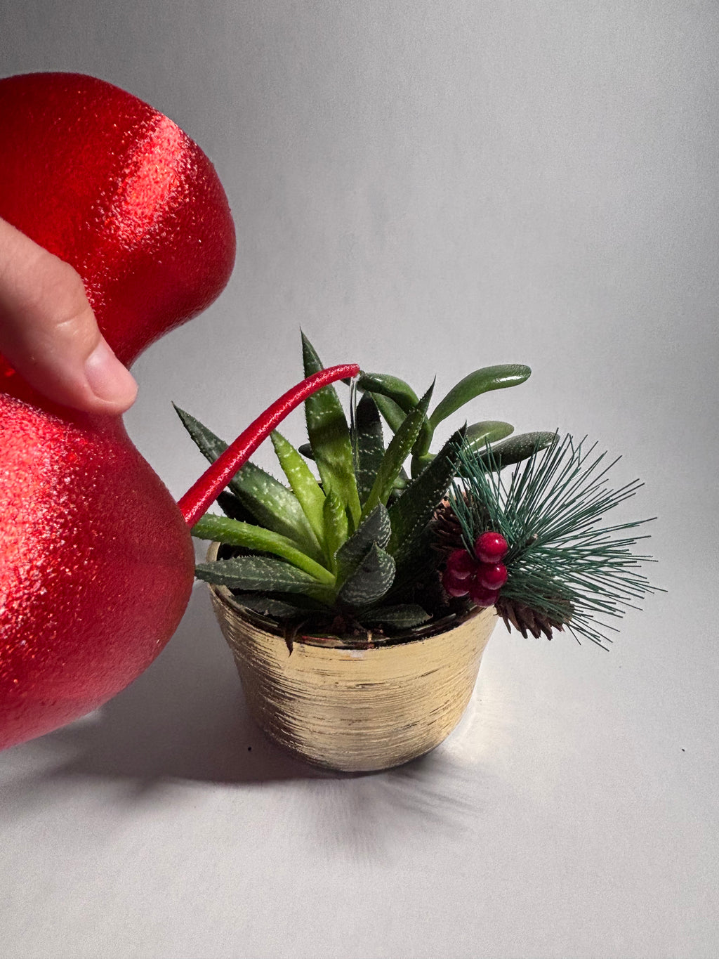 Handy Watering Can