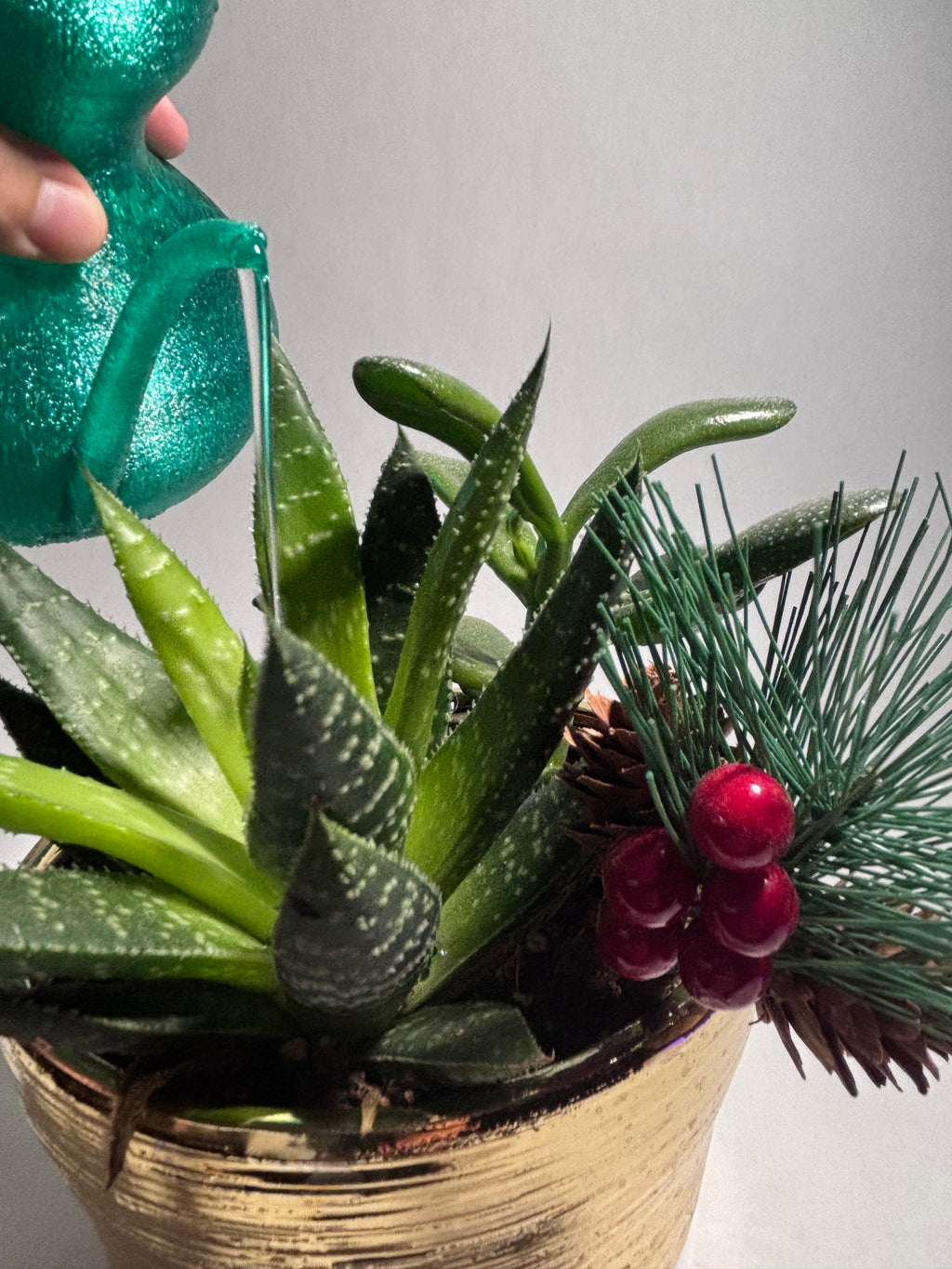 Handy Watering Can